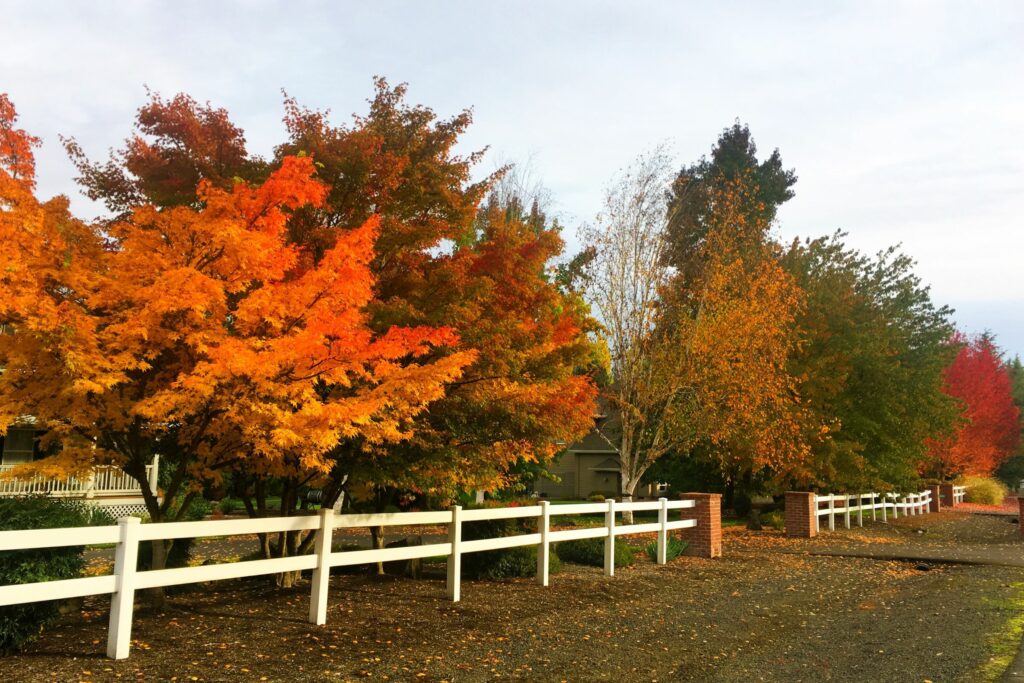 fall community decorations